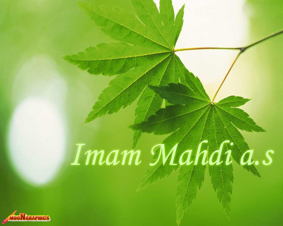 Aussprüche von Imam Mahdi (aj.)